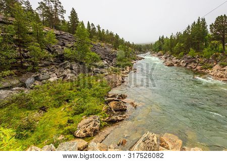 Mountain River, Norwegian Green Nature In Summertime. Cloudy Foggy Day, Rainy Weather. Saltfjellet -