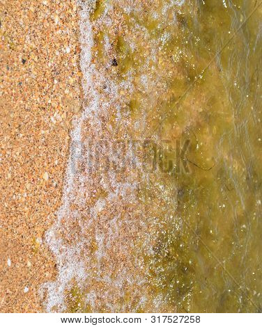 Coastal Sea Waves. Seawater With Seaweed. Coastal Algae. Sea Beach