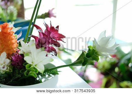 Siam Tulip Flower Arrangement In Japanese Ikebana