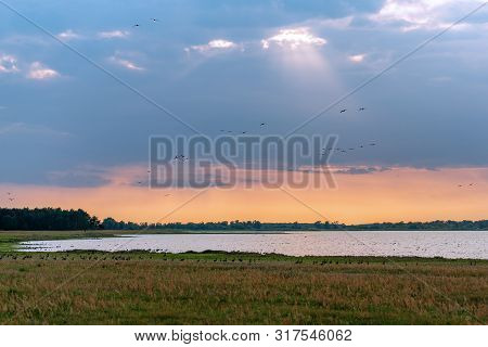 Population Of Wild Geese At Scenic Guelper See (havelaue) In Brandenburg, Germany At Sunset