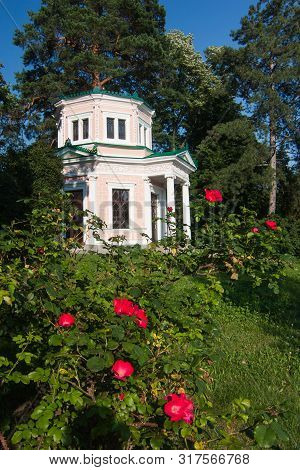 Red Roses In Sofiyivka Park, Pink Building