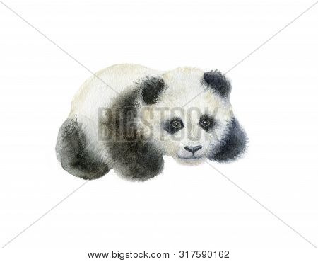 Panda Bear Watercolor Hand Draw Illustration Isolated On White Background.
