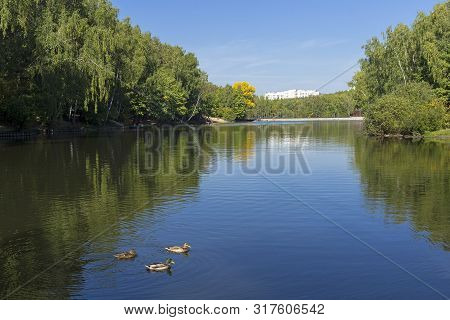 Pond In The Landscape Reserve Teply Stan, Moscow, Russia. Sunny Day In September.