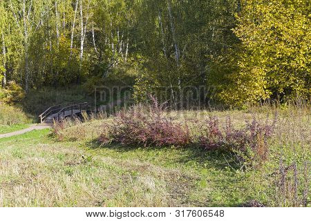 Beautiful Autumn Landscape. A Small Ravine With A Bridge Over The Stream. Sunny Day In October. Land