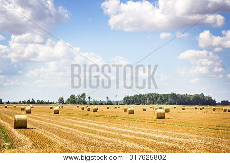 Bales Of Mowed Hay In The Field. Hay Bales On The Field After Harvest.  Landscape Photo With Blue Sk