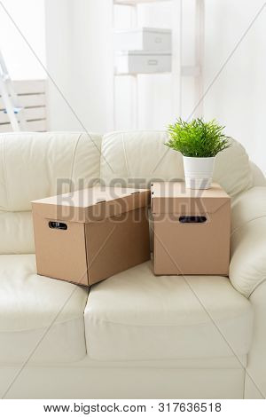 Boxes With Things And A Flower In The Pot Stand On The Couch During The Move Of Residents To A New A