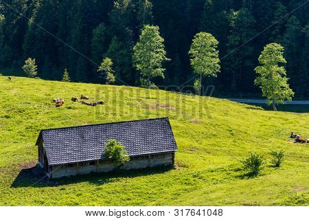 National Park Kalkalpen in Austria