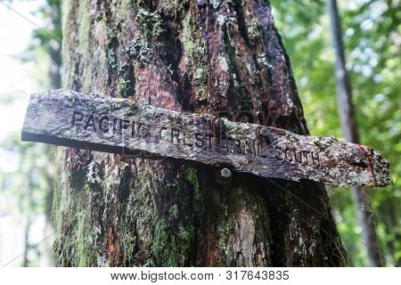 Sign post for Pacific Crest Trail. Famous hiking trail in North America.