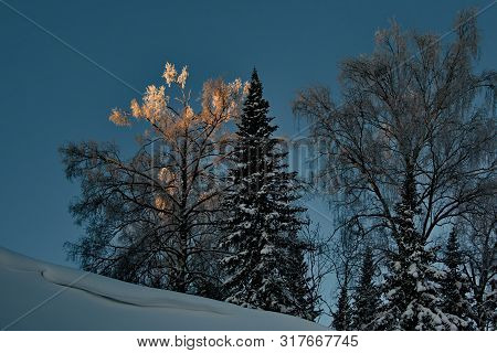 Russia. The South Of Western Siberia. Sunny Winter Day In Mountain Shoria.