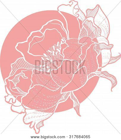 Simple Vector Clip Art Peony Flower Image