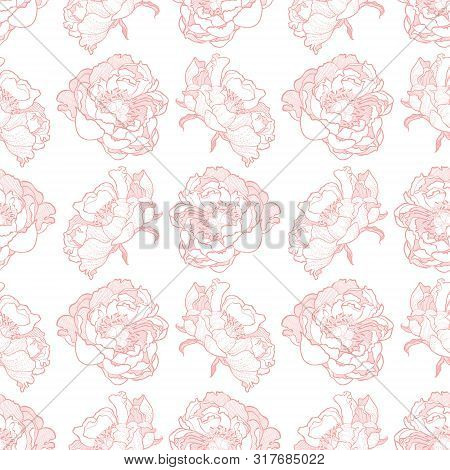 Peony Flower Seamless Pattern Vector Hand Drawn