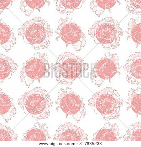 Peony Flower Seamless Pattern Vector Hand Drawn