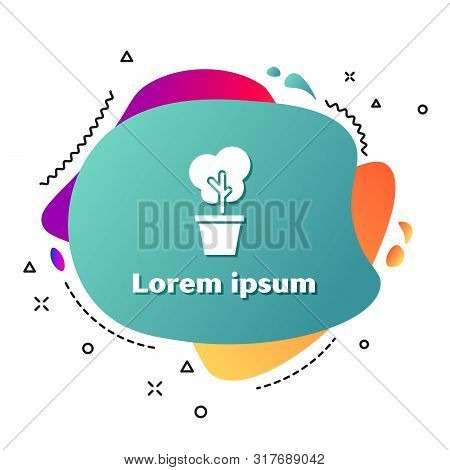 White Tree In Pot Icon Isolated On White Background. Houseplant In Pots. Natural Decor For Home And 