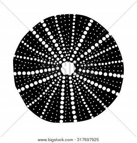 Vector Sea Beach Object Clip Art. Dry Seaurchin