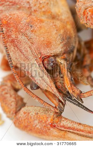 กุ้งแดงแยก