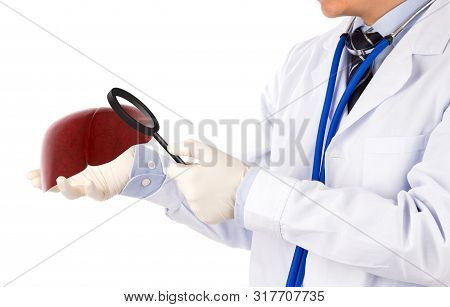 Doctor Check 3d Liver , Concept Fatty Liver