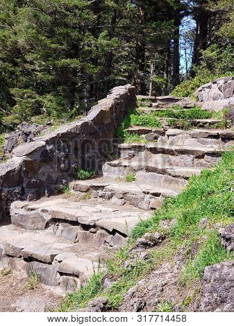 A Beautiful Improved And Well Maintained Walking Path At The Forested Central Oregon Coast On A Sunn