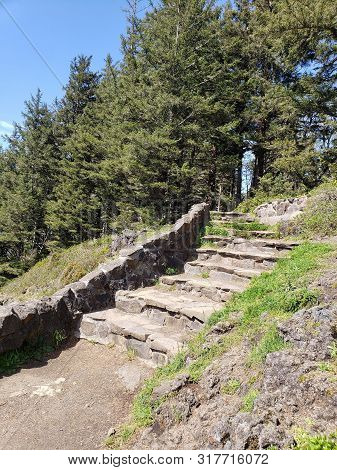 A Beautiful Improved And Well Maintained Walking Path At The Forested Central Oregon Coast On A Sunn