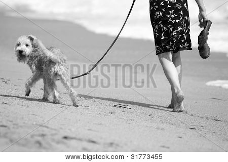 Donna cammina il suo cane sulla spiaggia