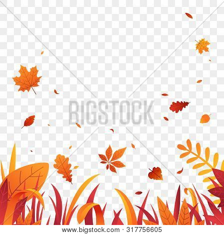 Autumn Grass Border With Falling Leaves Vector Background. Red Orange Autumn Plants. Fall Decoration