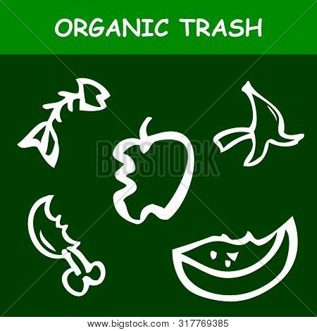 Simple Vector Hand Draw Sketch, Organic Trash, Apple, Banana Skin, Fish Bone, Bited Chicken Leg, Wat