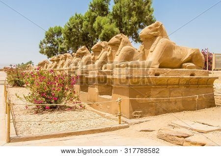 Entry To Karnak Is Through An Extended Avenue Of Ram-headed Sphinxes