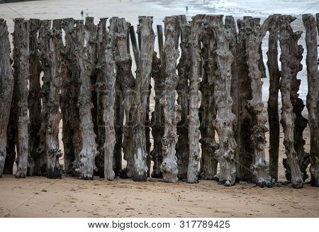 Big Breakwater, 3000 Trunks To Defend The City From The Tides, Plage De L Eventail Beach In Saint-ma