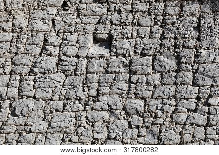 The Surface Of A Nodular Limestone