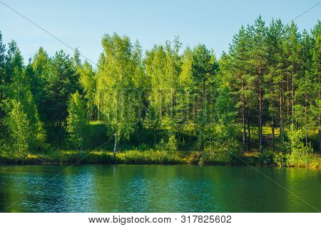 Green Summer Forest Near The River And Reflections On The Surface