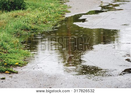 Puddle With Tree Reflection In The Rain. Rainy Day