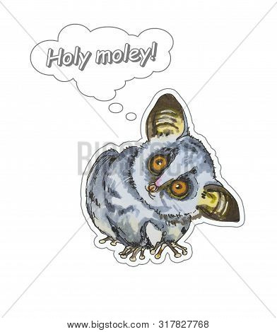 Funny Animal Galago Stickers On A White Background. Hand Painted Illustration