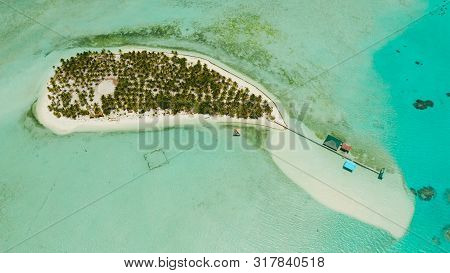 Tropical Island With Palm Trees And A Beach, Top View. Onok Islan, Balabac, Philippines. Summer And 