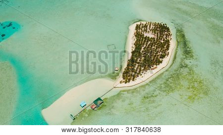 Tropical Landscape: Small Island With Beautiful Beach, Palm Trees By Turquoise Water View From Above