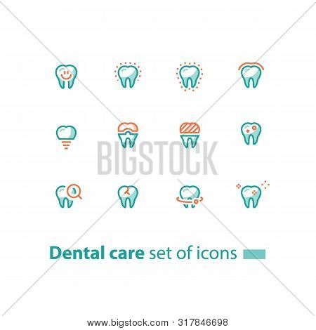 Dental Care, Prevention Check Up, Stomatology Services, Smiling Tooth, Implant And Crown, Vector Lin