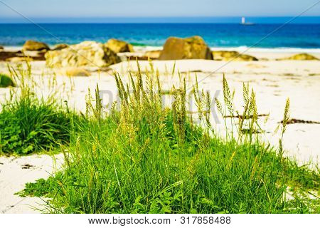 Seascape, Sea Coast With Sandy Beach In Resort Bleik. Andoya Norway. Vesteralen Archipelago.