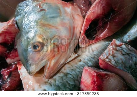 Hilsa Fish Being Cut For Cooking