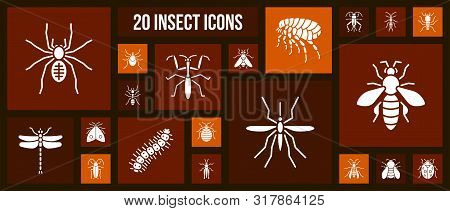 Danger Insect Silhouette Icons Set. Isolated Web Sign Kit Of Bed Bug. Pictogram Collection Includes 
