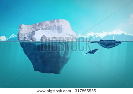 Iceberg And Whales Underwater View. Oceanic Ecosystem, Global Warming And Enviroment Protection Conc