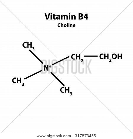 Vitamin B4. Choline Molecular Chemical Formula. Infographics. Illustration On Isolated Background.