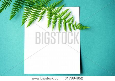 A Concept Of Minimalist Lifestyle Composition, Delicate Green Leaves, Blank Pages With Place For Tex