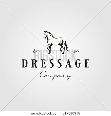 Stallion Horse Running Dressage Logo Hipster Vintage Vector
