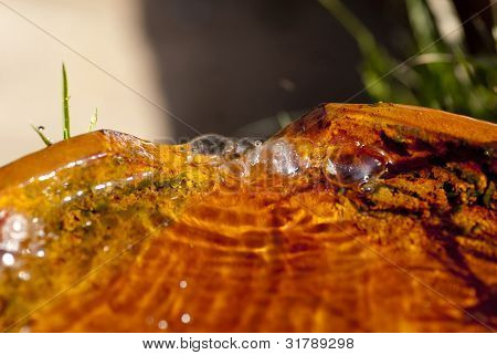 Quelle von Wasser