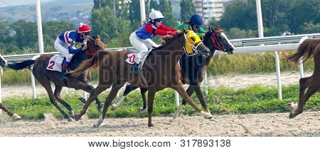 Pyatigorsk,russia - August 18.2019: Horse Race For The Prize Of The 