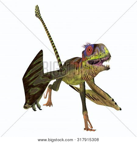 Peteinosaurus Reptile Running 3d Illustration - Peteinosaurus Was A Carnivorous Flying Pterosaur Tha