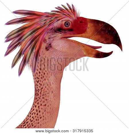 Phorusrhacos Bird Head 3d Illustration - Phorusrhacos Was A Flightless Carnivorous Terror Bird Of Pr