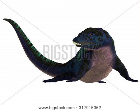 Placodus Reptile Head