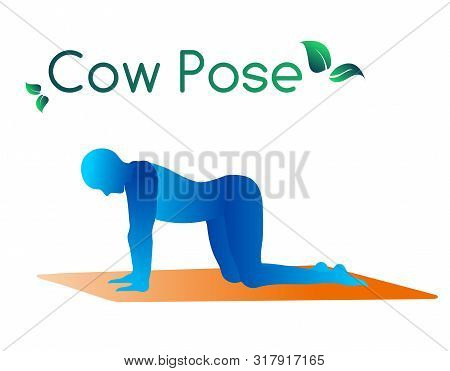 Stylish Modern Complex Posture For Yoga, Cow Pose. Yoga, Sports, Meditation, Breathing. Yoga. Modern
