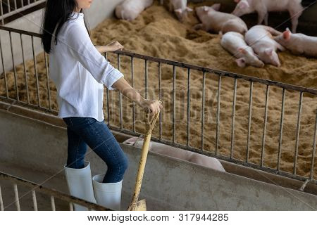 Young Farmer With Shovel Working In In Organic Farm Pig. Agriculture And Livestock Industry