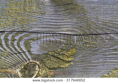 Old Texutured Pine Board With Cracks And Knot, Covered Dark Green Paint Collapsed Partly. Useful Nat