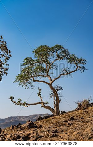 Landscape View Near The Blue Nile Falls, Tis-isat In Ethiopia, Africa